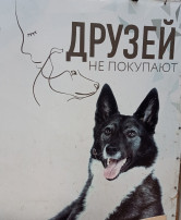 Акция «Добрые сердца» Акция «Добрые сердца».